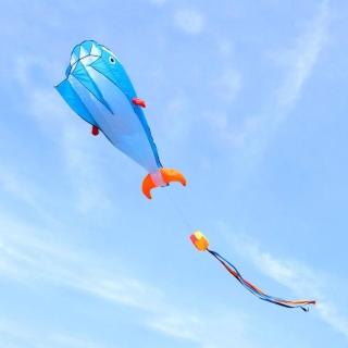 【888便利購】大鯨魚造型風箏（軟式風箏）（全配/附150米輪盤線），圖片來源：momo 商品頁 / 便利購企業社
