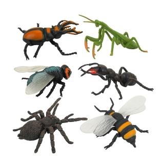 【888便利購】6入仿真昆蟲模型（大隻）（螳螂蜘蛛版）（安全塑料），圖片來源：momo 商品頁 / 便利購企業社