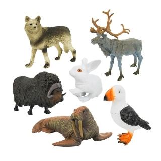 【888便利購】6入仿真極地動物模型（大隻）（北極鳥海鸚版）（安全塑料），圖片來源：momo 商品頁 / 便利購企業社