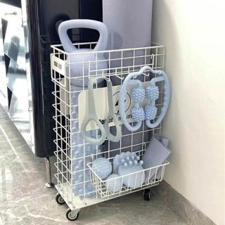 瑜伽墊收納筐健身工具運動器材放置物架子大號箱神器家用球類收納，圖片來源：momo 商品頁 / 艾麗芬國際有限公司